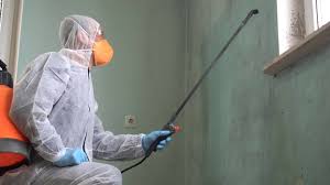 Best Biohazard Mold Removal in La Plata, MO