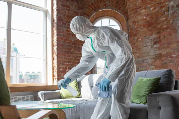 Best Mold Remediation for Healthcare Facilities in La Plata, MO