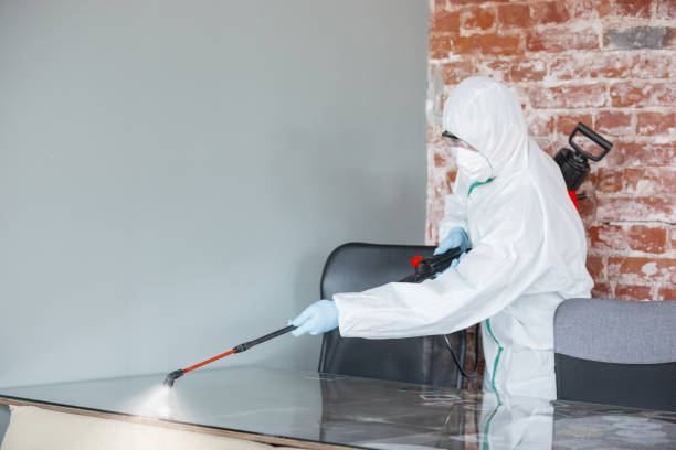  La Plata, MO Mold Removal Pros