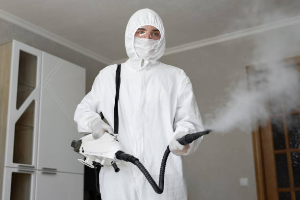 Best Emergency Mold Remediation in La Plata, MO